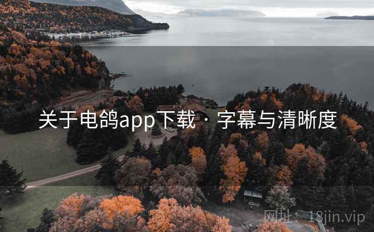 关于电鸽app下载 · 字幕与清晰度