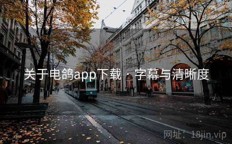 关于电鸽app下载 · 字幕与清晰度
