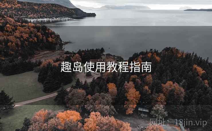 趣岛使用教程指南
