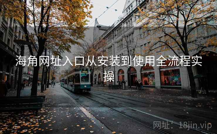 海角网址入口从安装到使用全流程实操