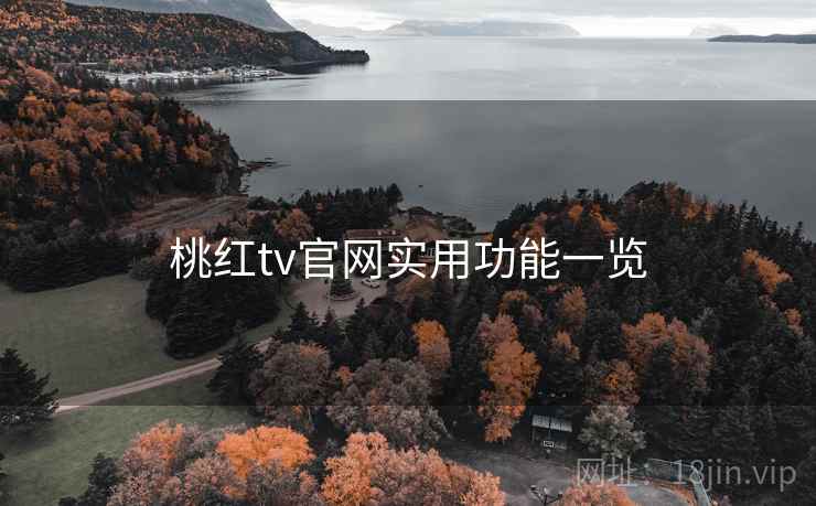 桃红tv官网实用功能一览