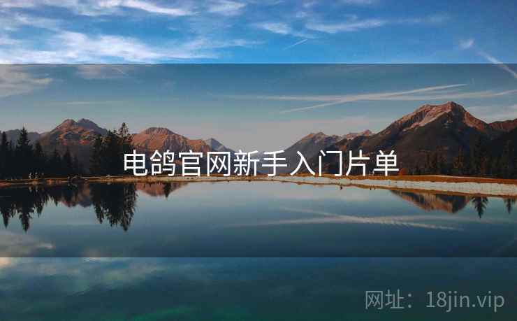 电鸽官网新手入门片单
