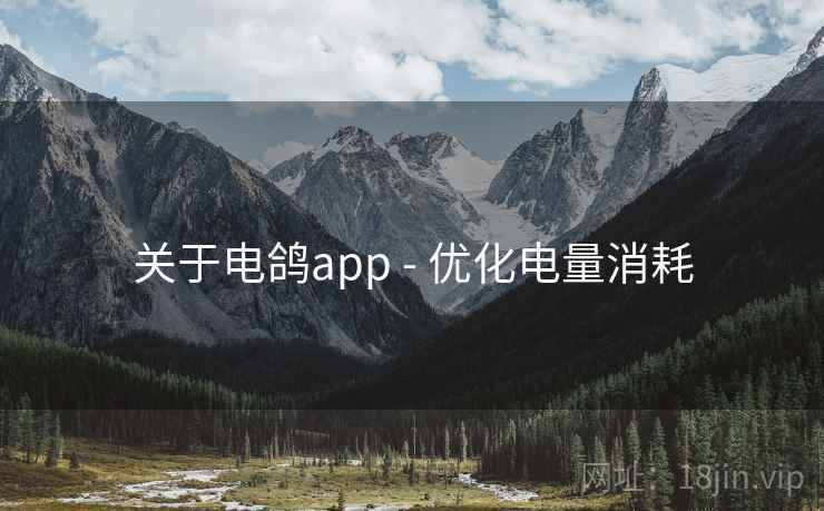 关于电鸽app - 优化电量消耗