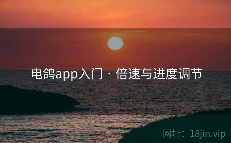 电鸽app入门 · 倍速与进度调节