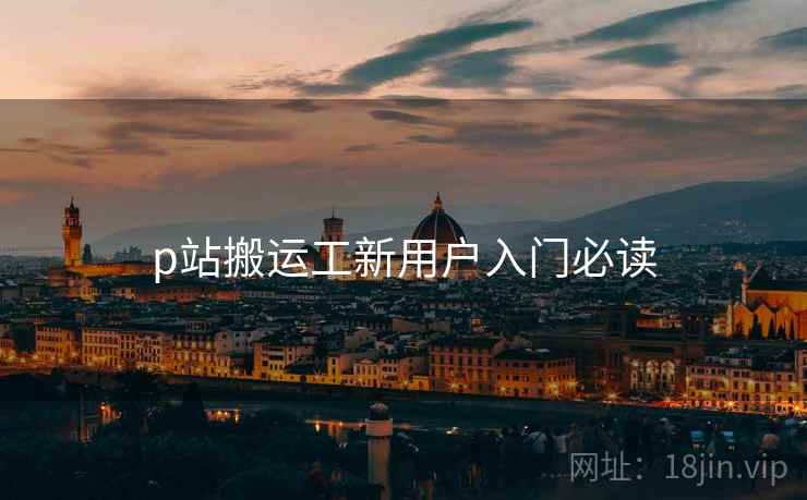 p站搬运工新用户入门必读