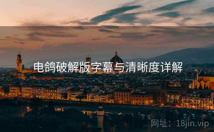 电鸽破解版字幕与清晰度详解