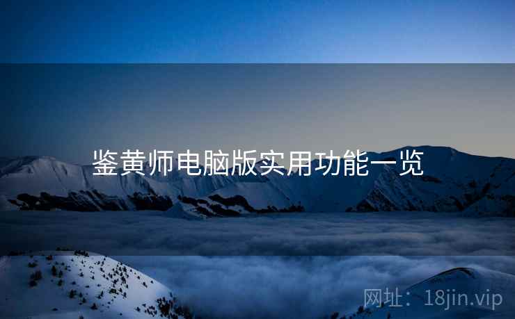 鉴黄师电脑版实用功能一览