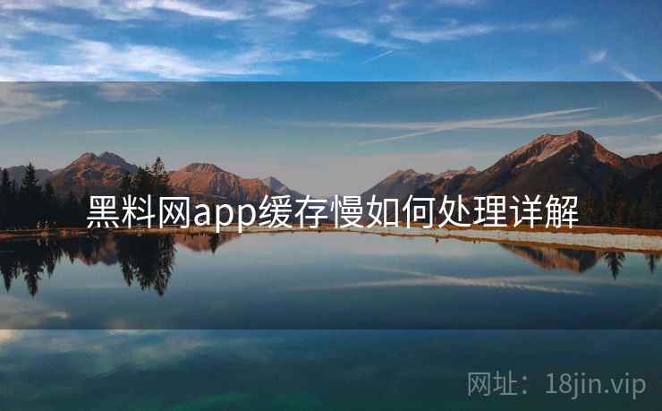 黑料网app缓存慢如何处理详解