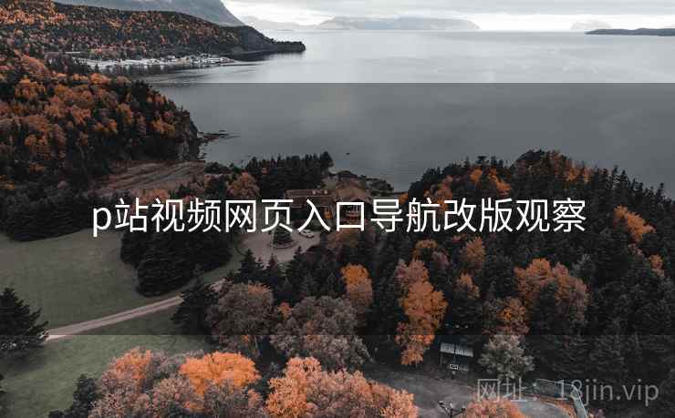 p站视频网页入口导航改版观察