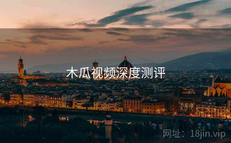 木瓜视频深度测评