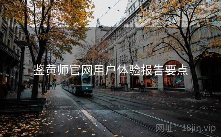 鉴黄师官网用户体验报告要点