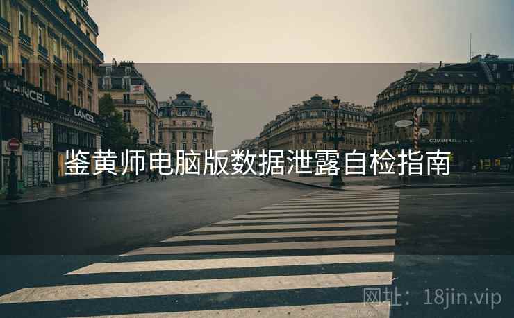 鉴黄师电脑版数据泄露自检指南