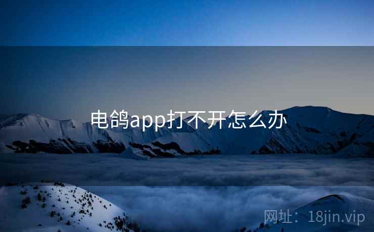 电鸽app打不开怎么办