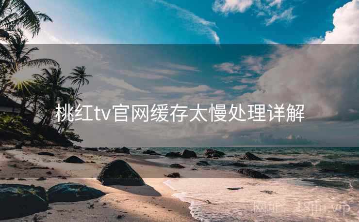 桃红tv官网缓存太慢处理详解