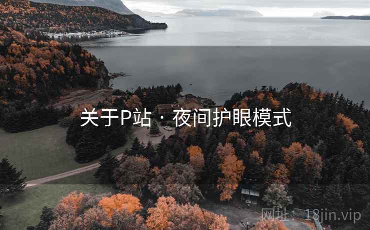 关于P站 · 夜间护眼模式