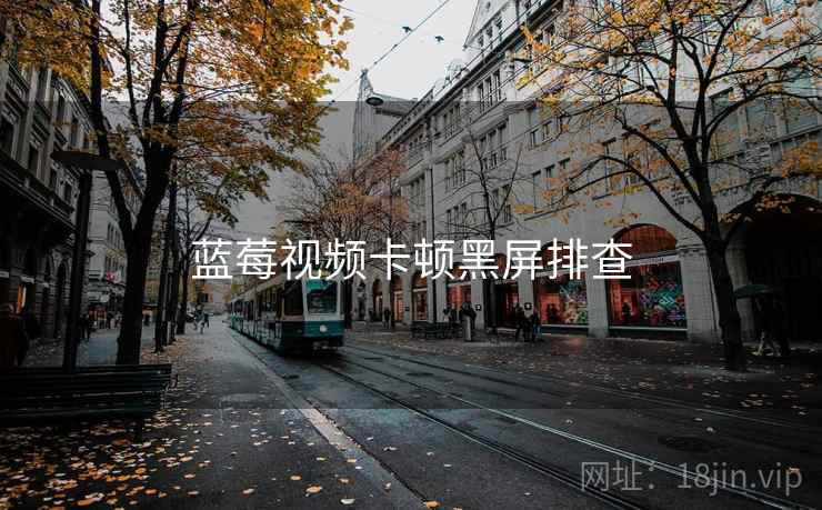 蓝莓视频卡顿黑屏排查