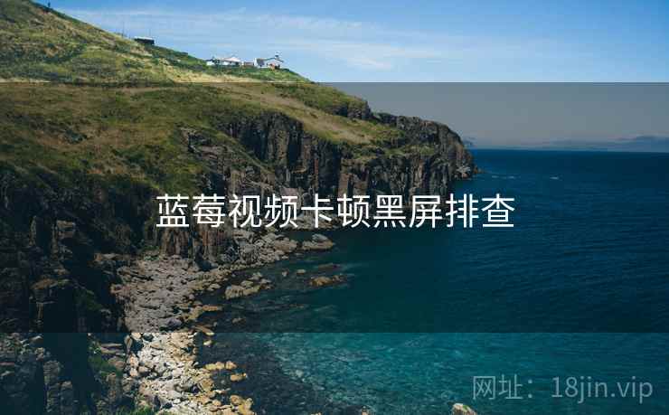 蓝莓视频卡顿黑屏排查