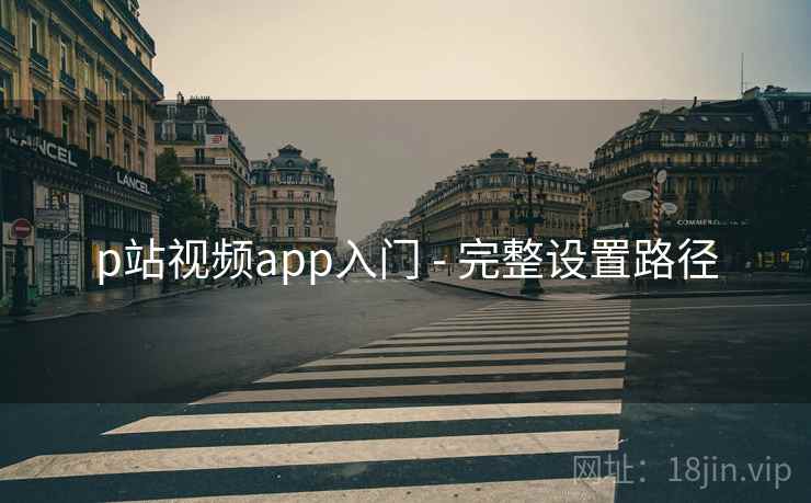 p站视频app入门 - 完整设置路径