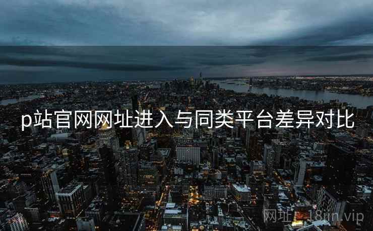 p站官网网址进入与同类平台差异对比