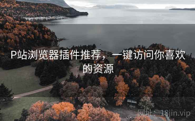 P站浏览器插件推荐，一键访问你喜欢的资源