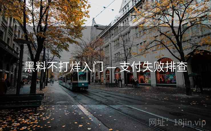 黑料不打烊入门 — 支付失败排查