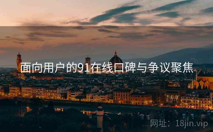 面向用户的91在线口碑与争议聚焦