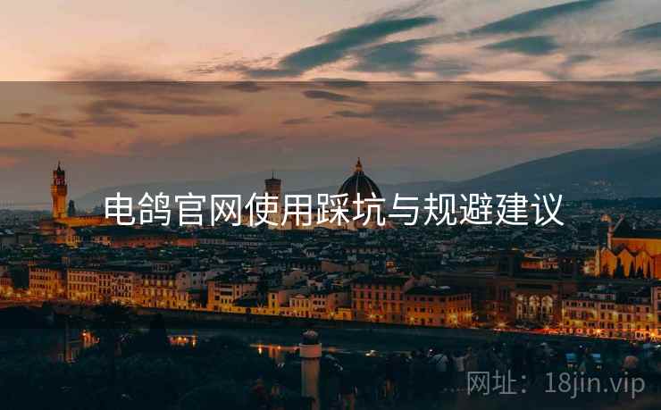 电鸽官网使用踩坑与规避建议