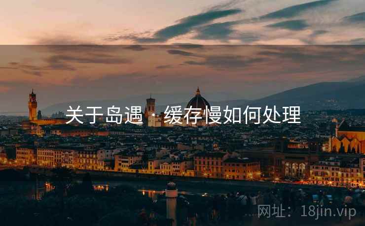 关于岛遇 · 缓存慢如何处理