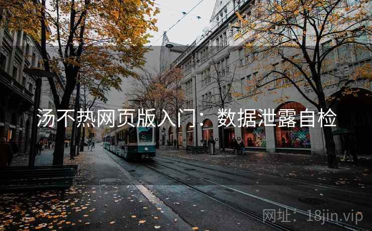 汤不热网页版入门:数据泄露自检 汤不热网页版入门:数据泄露自检