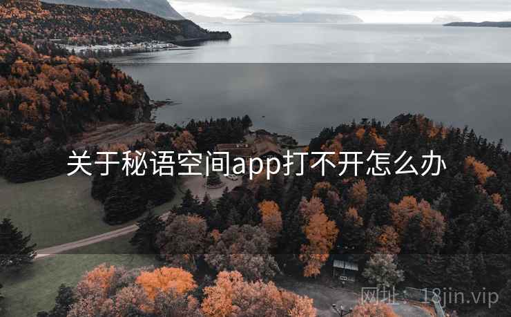 关于秘语空间app打不开怎么办