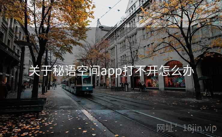 关于秘语空间app打不开怎么办